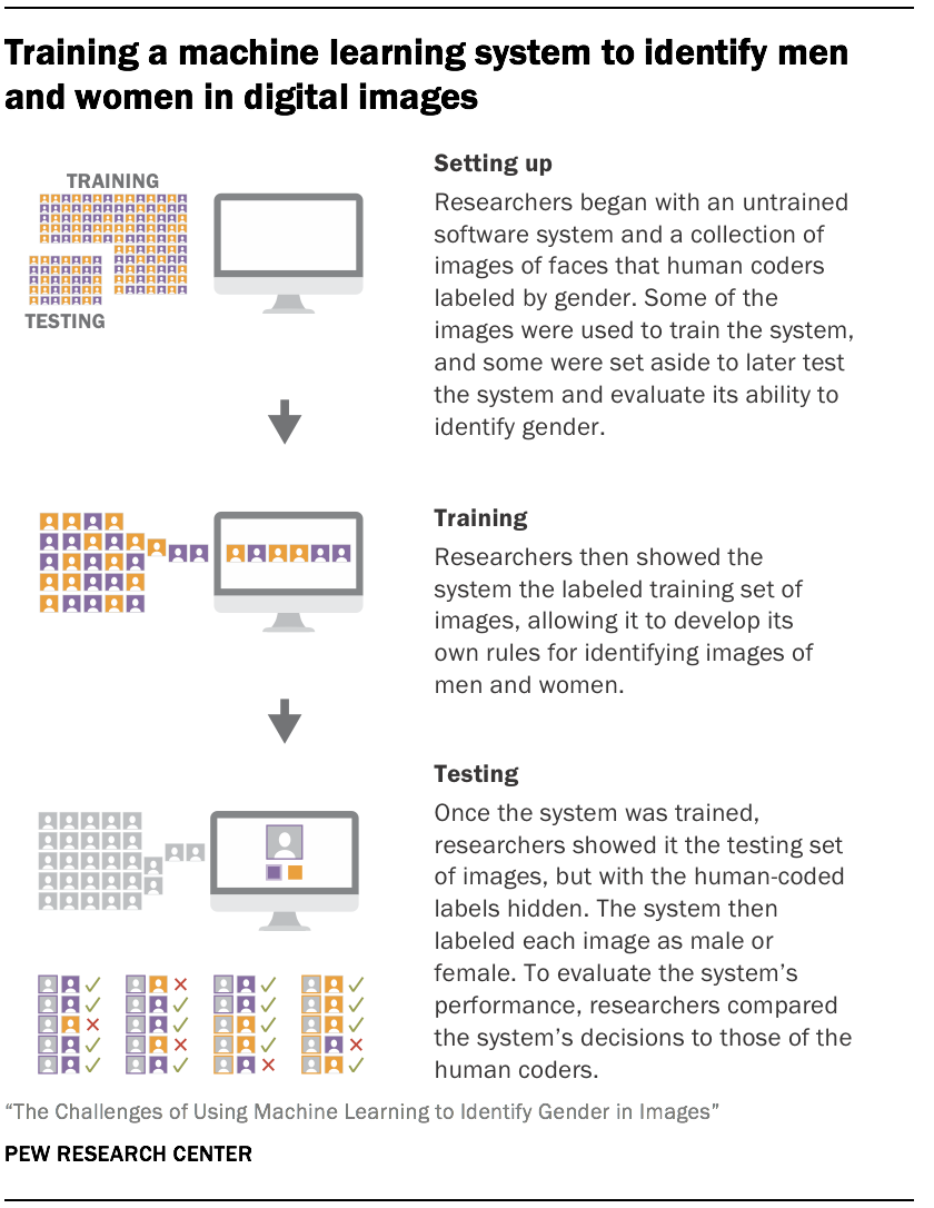 Regardless of training data, all models were better at identifying one gender than the other