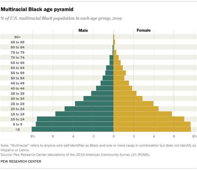 Chart showing multiracial Black age pyramid