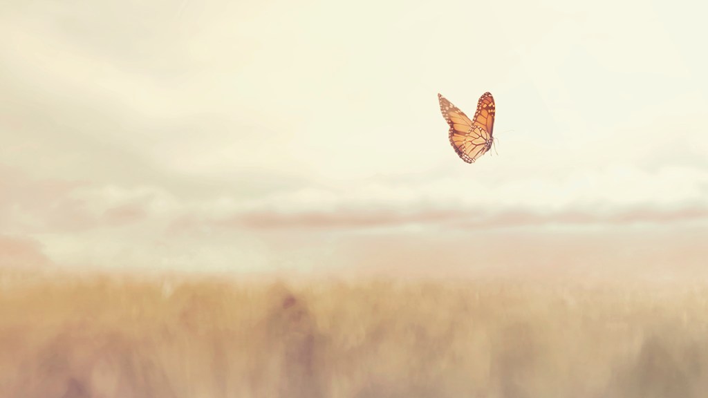 colorful butterfly flying free in the middle of nature