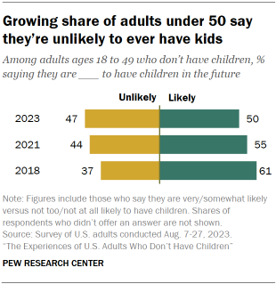 Experiences of adults without children in the US