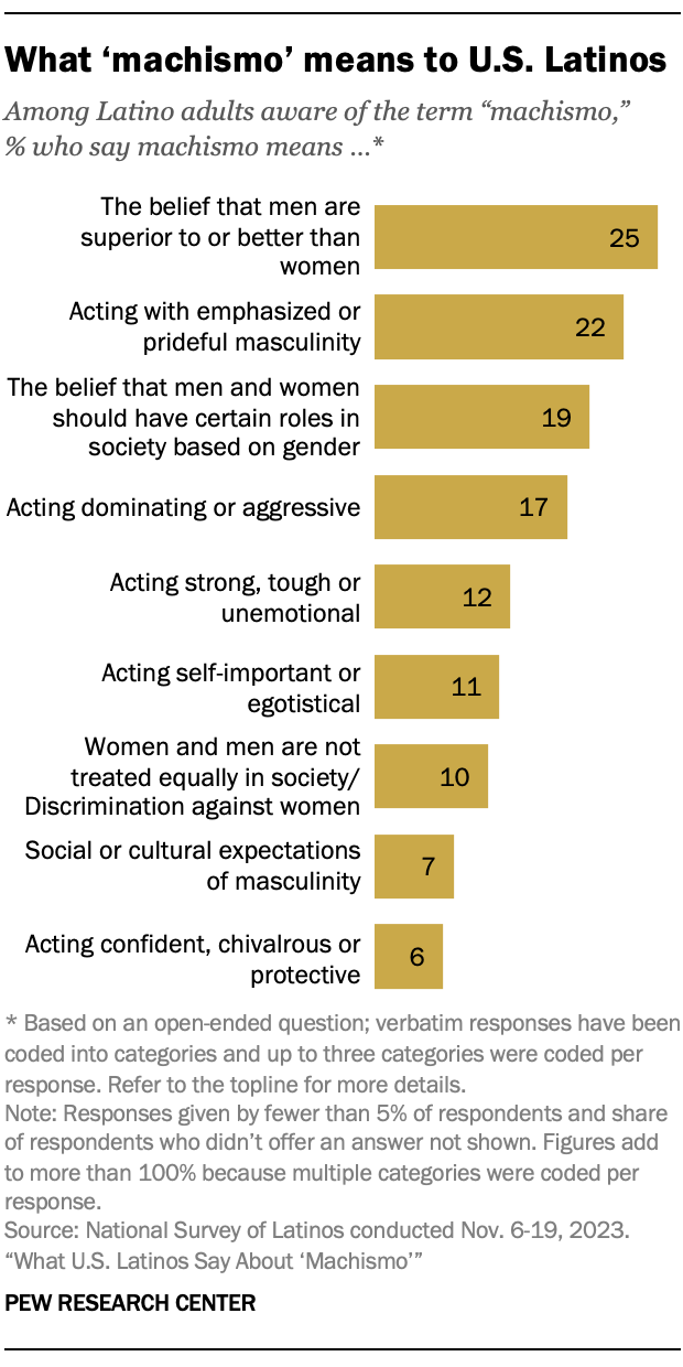 A bar chart showing what “machismo” means to U.S. Latinos. Among Latino adults aware of the term “machismo,” 25% say machismo means the belief that men are superior to or better than women and 22% say it means acting with emphasized or prideful masculinity.